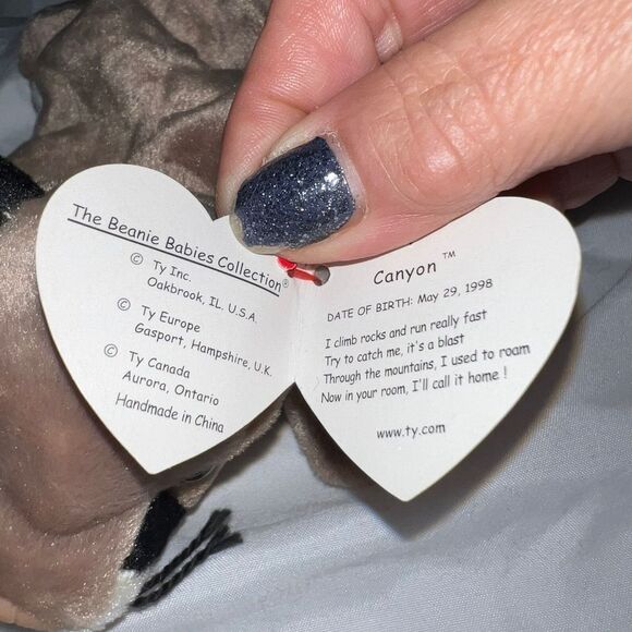 TY Original Beanie Baby "Canyon” - Picture 2 of 10